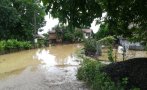 ПОТОП: Река Войнишка заля къщи и дворове в Дунавци