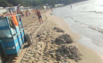 Тонове използвани мокри кърпички изхвърли морето на Южния плаж във Варна