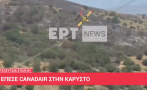 Разби се самолет, който гасеше пожарите в Гърция (УЖАСЯВАЩО ВИДЕО)