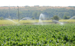 До 2 октомври земеделските стопани могат да кандидатстват по схемата за напояване