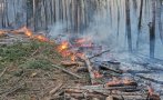 близо 200 горски служители участват гасене пожари страната