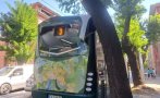 Електробус се блъсна в дърво