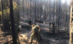Окончателно ликвидираха горския пожар край Хисаря