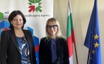 Мила Ненова поема Българската агенция за инвестиции
