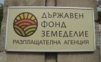 МЗ: Земеделците в засегнатите от пожарите райони, където е обявено бедствено положение, да подадат заявление в ДФЗ