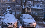 АЛО, КМЕТЕ! Жители на София се справиха сами с паднало дърво след обилния снеговалеж