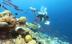 бълбукащи рифове регистрирани пръв път черно море района зеленка плажа ропотамо аладжа банка