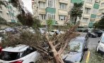 ПРИ КОМШИИТЕ: Бурен вятър отнесе покриви и изкорени дървета в Истанбул