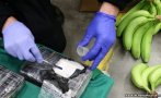 откриха кокаин банани пристанище нидерландия млн евро