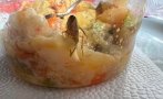 Затвориха детска кухня в Монтана заради случая с хлебарка в храната
