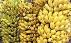 Русия се разсърди на Еквадор, купува си банани от Индия