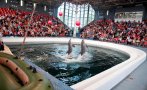 Делфинариумът във Варна с безплатни представления за деца