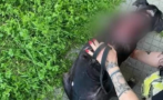 ШОК: Наркоман от Пловдив насилвал сексуално питбула си