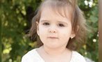 В Сърбия още издирват тялото на 2-годишната Данка, убийците мълчат (ВИДЕО)