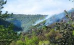 Пожар в Осогово, горят 100 дка гори
