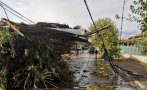 ГНЕВЪТ НА ПРИРОДАТА: Мощна буря изкорени дървета и изпочупи покриви в Силистренско
