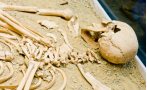 намериха човешки кости останки ковчег изкоп строеж добрич