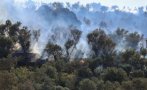 Битката с огъня в Гърция: 13 души са арестувани за предизвикване на горски пожар
