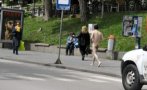 мъж съблече гол улица отправи неприлични предложения жена