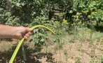 удрят глоба поливате градината питейна вода кюстендилско