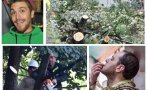 РАЗМАЗВАЩО! Къде са Бебо, Сандов и другите мишоци, докато техните общински съветници убиват десетки стари дървета в центъра на София