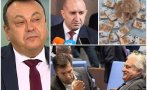 хамид хамид ударно тежък санитарен кордон пуделите кеша корупцията