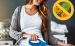 убиете бактериите акарите гъбичките