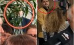 помните фикуса парламента крие снимки