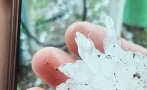 000 декара земеделски култури засегнати градушката ямболско