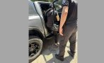 операция астия европол българските служби разбиха мащабна група трафик мигранти