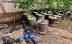разкритата нарколаборатория бургаско работела зелена енергия