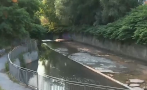 кафяв цвят неприятна миризма софиянци сигнализират замърсена река