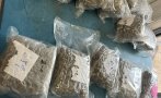 удар спипаха калотина турчин белгиец марихуана видео