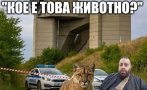 култови мемета заляха мрежата новината издирват пантера шумен снимки