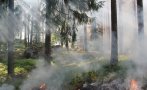 борбата големия пожар рила продължава