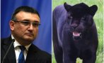 сряда бившият мвр министър младен маринов избяга парламентарните дрязги неочаквано намери снимки
