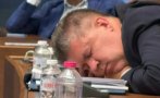случи депутати хъркат парламента докато приемат закони снимки