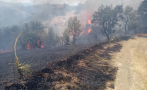 Пожар пламна и край Симитли, търсят доброволци