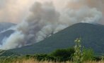дългоочакваният дъжд пирин заваля