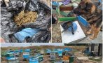 Кучето Бим откри близо килограм канабис в пчелин край карнобатско село