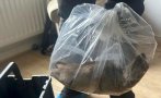 мъж намери дома плъх размерите котка