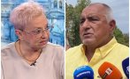 Диана Дамянова: Бойко Борисов води президентска кампания. Има много хляб в един кандидат като...