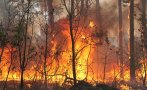бедствие пожар лумна гръцката част родопите