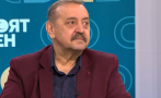 Проф. Тодор Кантарджиев предупреди: Настъпва вирусът Чикунгуня