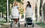 предложение 1200 майчинските втората година