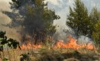 големи пожари бушуват черна гора