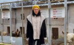 пиян въоръжен нападна семейството управителя приюта безстопанствени животни благоевград