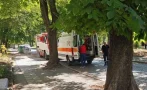 САКАТЛЪК: Голям клон цапардоса по главата пешеходец в Пловдив