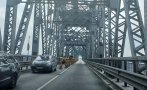 пускат двупосочно движението дунав мост коледно новогодишните празници
