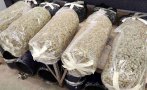 марихуана газови бутилки откриха митничарите търново снимки